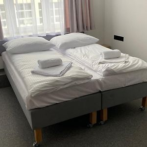 Pokój typu standard z łóżkiem king-size